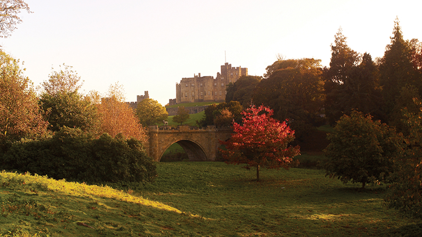 Castle And Bridge From Pastures 72Dpi, 840X648