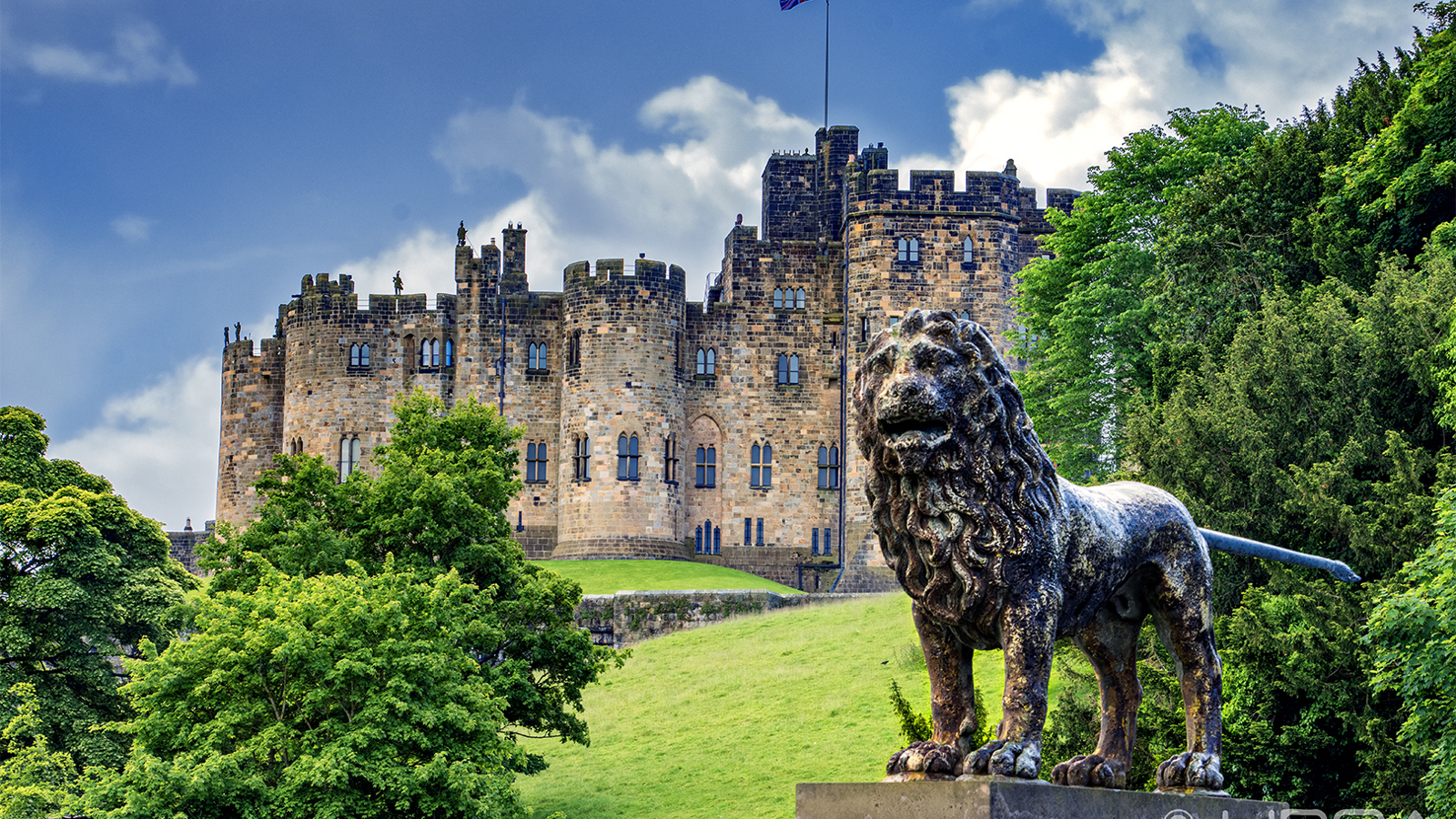 Darran From Bridge With Percy Lion